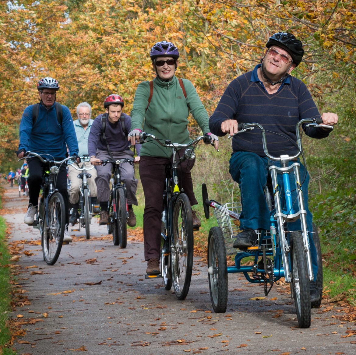 A group of people cycling along a tree-lined track
